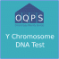 Y Chromosome DNA Test